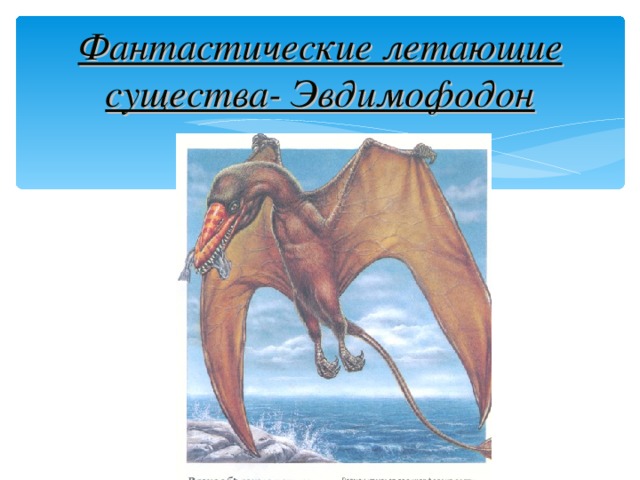 Фантастические летающие существа- Эвдимофодон