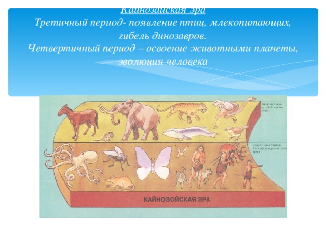 Кайнозайская эра  Третичный период- появление птиц, млекопитающих, гибель динозавров.  Четвертичный период – освоение животными планеты, эволюция человека