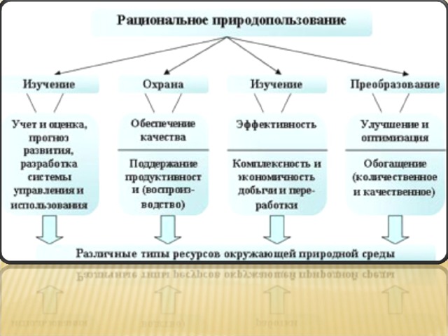 Презентация по географии рациональное природопользование - 82 фото