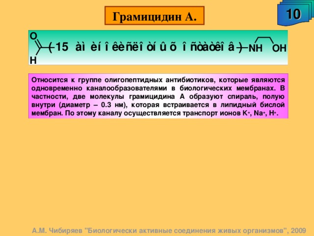 10 Грамицидин А. Относится к группе олигопептидных антибиотиков, которые являются одновременно каналообразователями в биологических мембранах. В частности, две молекулы грамицидина А образуют спираль, полую внутри (диаметр – 0.3 нм), которая встраивается в липидный бислой мембран. По этому каналу осуществляется транспорт ионов K + , Na + , H + . А.М. Чибиряев 