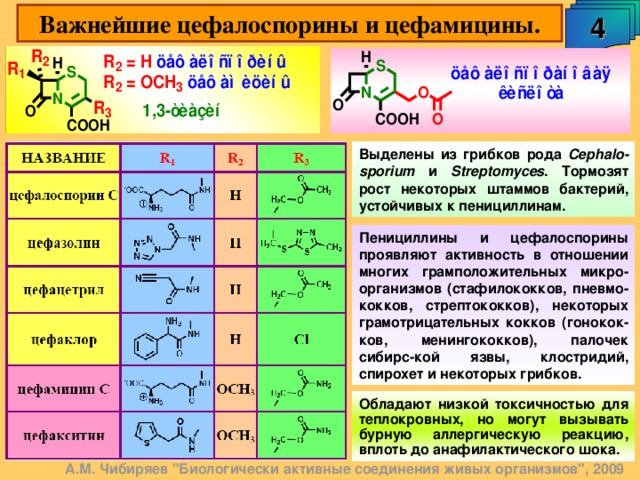 4 Важнейшие цефалоспорины и цефамицины. Выделены из грибков рода Cephalo - sporium  и Streptomyces . Тормозят рост некоторых штаммов бактерий, устойчивых к пенициллинам. Пенициллины и цефалоспорины проявляют активность в отношении многих грамположительных микро-организмов (стафилококков, пневмо-кокков, стрептококков), некоторых грамотрицательных кокков (гонокок-ков, менингококков), палочек сибирс-кой язвы, клостридий, спирохет и некоторых грибков. Обладают низкой токсичностью для теплокровных, но могут вызывать бурную аллергическую реакцию, вплоть до анафилактического шока. А.М. Чибиряев 