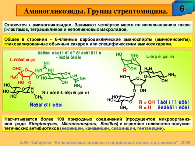 6 Аминогликозиды. Группа стрептомицина. Относятся к аминогликозидам. Занимают четвёртое место по использованию после  - лактамов, тетрациклинов и неполиеновых макролидов. Общее в строении – 6-членные карбоциклические аминоспирты (аминоинозиты), гликозилированные обычным сахаром или специфическими аминосахарами. Насчитывается более 100 природных соединений (продуцентов микроорганиз-мов рода Streptomyces , Micromonospora , Bacillus ) и огромное количество полусин - тетических антибиотиков ( неомицин, канамицин, сизомицин, гентамицин ). А.М. Чибиряев 