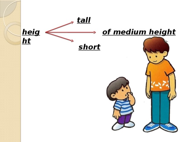tall height of medium height short