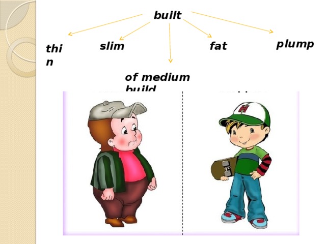 built plump slim fat thin of medium build
