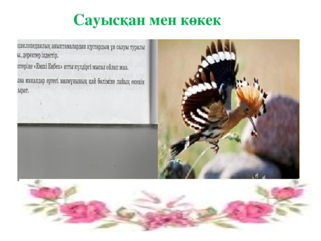 Сауысқан мен көкек