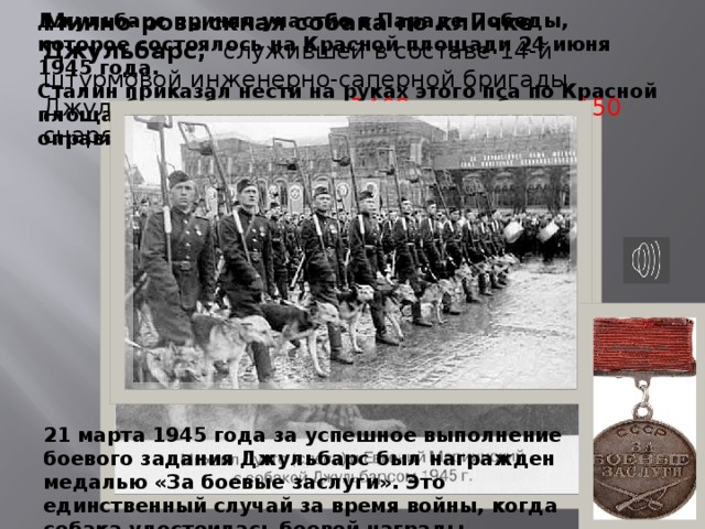Минно-розыскная собака по кличке Джульбарс, служившей в составе 14-й штурмовой инженерно-саперной бригады. Джульбарс обнаружила 7468 мин и более 150 снарядов. Джульбарс принял участие в Параде Победы, которое состоялось на Красной площади 24 июня 1945 года. Сталин приказал нести на руках этого пса по Красной площади на своём кителе, так как он еще не оправился от ранений. 21 марта 1945 года за успешное выполнение боевого задания Джульбарс был награжден медалью «За боевые заслуги». Это единственный случай за время войны, когда собака удостоилась боевой награды.