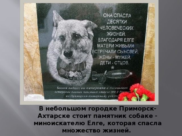 В небольшом городке Приморск-Ахтарске стоит памятник собаке - миноискателю Елге, которая спасла множество жизней.