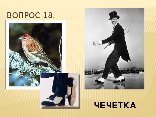 Вопрос 18. ЧЕЧЕТКА