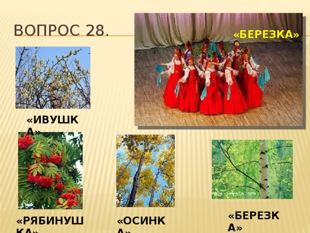 Вопрос 28. «БЕРЕЗКА» «ИВУШКА» «БЕРЕЗКА» «ОСИНКА» «РЯБИНУШКА»