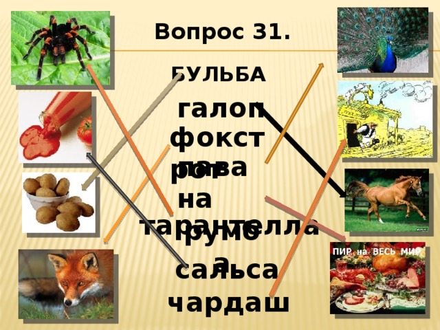 Вопрос 31. бульба галоп фокстрот павана румба тарантелла сальса чардаш