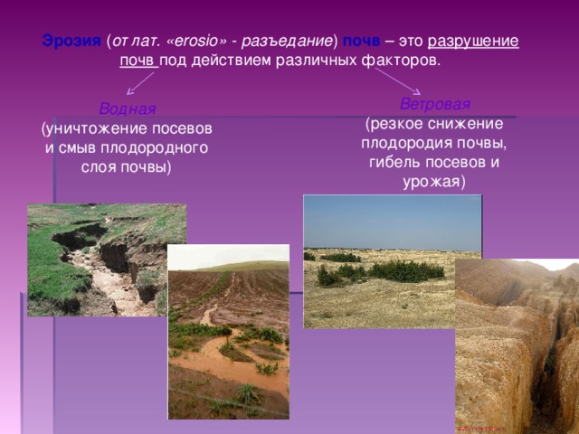 Эрозия  ( от лат. « erosio » - разъедание )  почв – это разрушение почв под действием различных факторов. Ветровая (резкое снижение плодородия почвы, гибель посевов и урожая) Водная (уничтожение посевов и смыв плодородного слоя почвы)