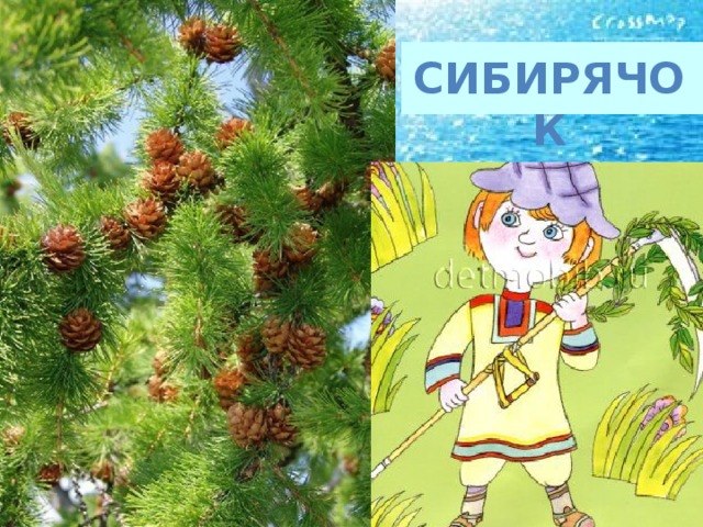 Сибирячок. Журнал Сибирячок ворона. Книга Сибирячок. Сибирячок Сарма. Пейзаж картина Сибирячок.