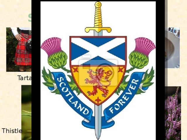 Symbols of Scotland. Kilt Haggis Tartan Thistle Heather