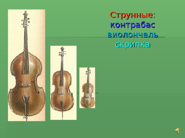 Струнные:  контрабас  виолончель  скрипка