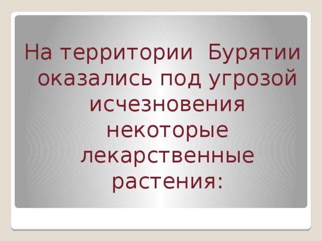 На территории Бурятии оказались под угрозой исчезновения некоторые лекарственные растения: