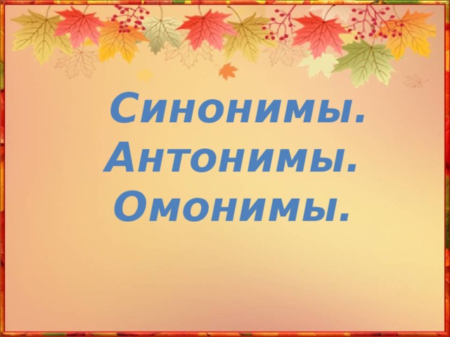 Синонимы. Антонимы. Омонимы.