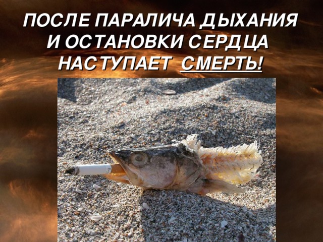ПОСЛЕ ПАРАЛИЧА ДЫХАНИЯ И ОСТАНОВКИ СЕРДЦА НАСТУПАЕТ СМЕРТЬ!