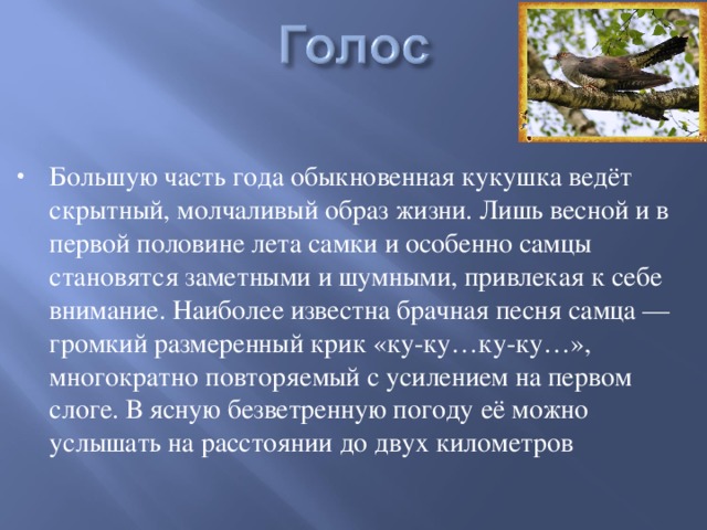 Большую часть года обыкновенная кукушка ведёт скрытный, молчаливый образ жизни. Лишь весной и в первой половине лета самки и особенно самцы становятся заметными и шумными, привлекая к себе внимание. Наиболее известна брачная песня самца — громкий размеренный крик «ку-ку…ку-ку…», многократно повторяемый с усилением на первом слоге. В ясную безветренную погоду её можно услышать на расстоянии до двух километров