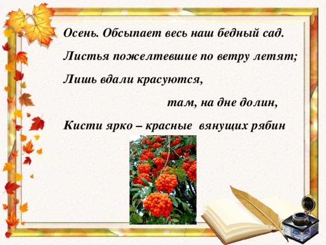 Осень. Обсыпает весь наш бедный сад. Листья пожелтевшие по ветру летят; Лишь вдали красуются,  там, на дне долин, Кисти ярко – красные вянущих рябин .