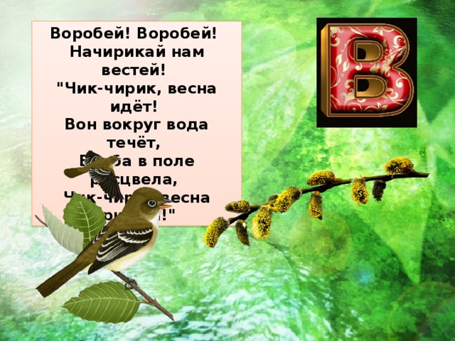 Воробей! Воробей!  Начирикай нам вестей!  