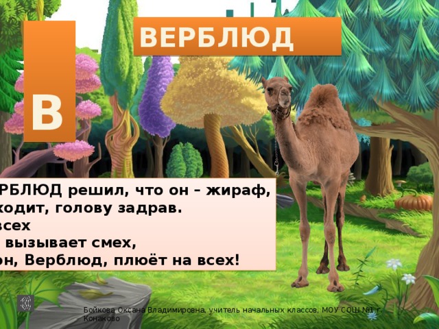 ВЕРБЛЮД  В ВЕРБЛЮД решил, что он – жираф, И ходит, голову задрав. У всех Он вызывает смех, А он, Верблюд, плюёт на всех! Бойкова Оксана Владимировна, учитель начальных классов, МОУ СОШ №1 г. Конаково