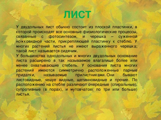 ЛИСТ У двудольных лист обычно состоит из плоской пластинки, в которой происходят все основные физиологические процессы, связанные с фотосинтезом, и черешка – суженной ножковидной части, прикрепляющей пластинку к стеблю. У многих растений листья не имеют выраженного черешка; такой лист называется сидячим. У большинства однодольных и многих двудольных основание листа расширено в так называемое влагалище более или менее охватывающие стебель. У основания листа многих растений имеются симметрично расположенные парные придатки, называемые прилистниками. Они бывают листовидные, чешуе видные, щетинновидные и прочие. По расположению на стебле различают очередные (спиральные), супротивные (в порах), и мутовчатое( по три или больше) листья.