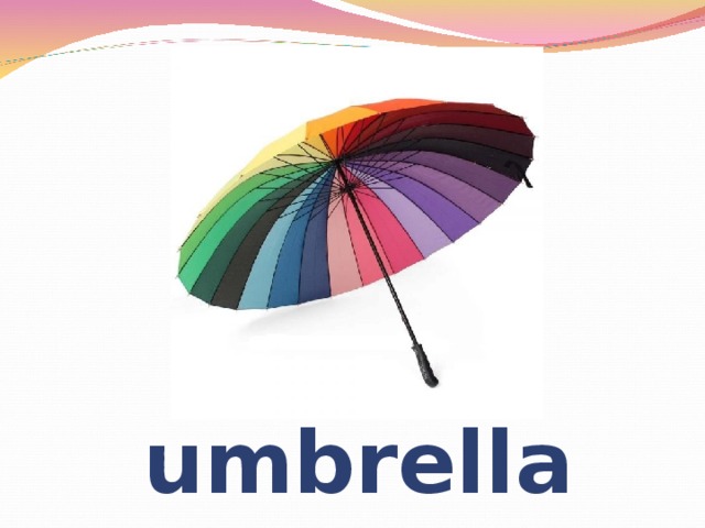 umbrella