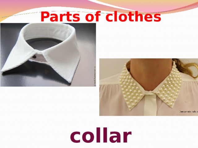 Parts of clothes        collar