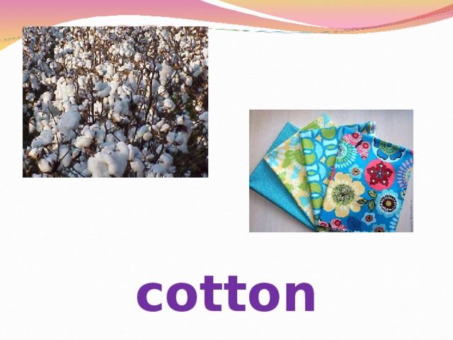 cotton