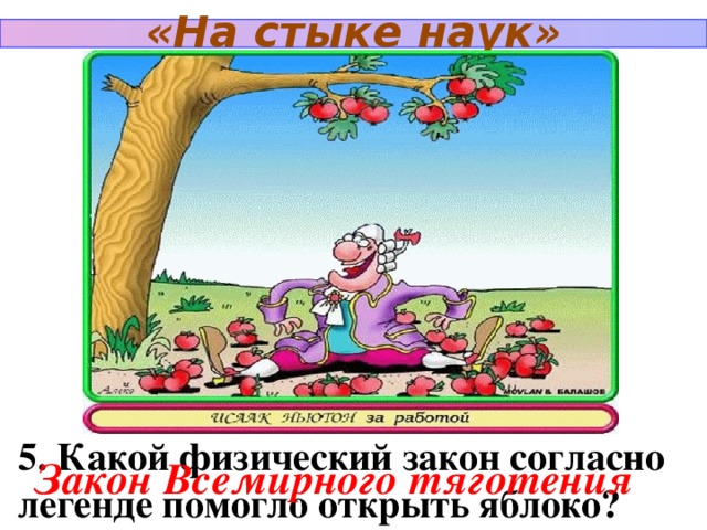 «На стыке наук» 5. Какой физический закон согласно легенде помогло открыть яблоко?  Закон Всемирного тяготения