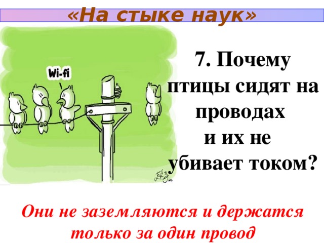 Зачем сел. Почему птиц не бьёт током на проводах. Почему птиц не убивает током на проводах. Почему птиц не бьет током. Почему птиц сидящих на проводах не убивает током.