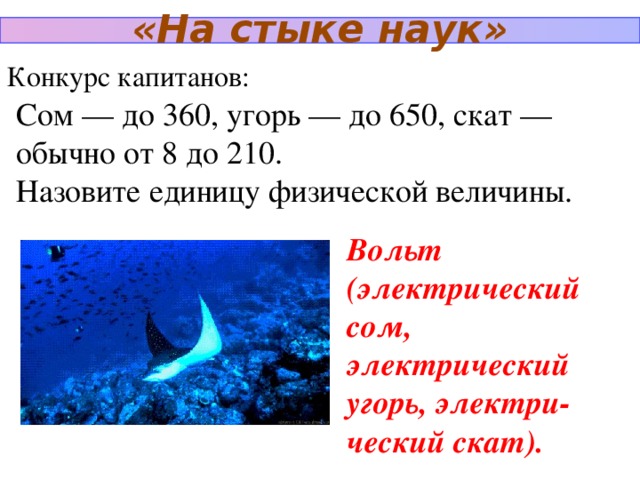 «На стыке наук» Конкурс капитанов: Сом — до 360, угорь — до 650, скат — обычно от 8 до 210. Назовите единицу физической величины. Вольт (электрический сом, электрический угорь, электри-ческий скат).