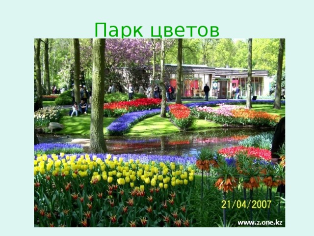 Парк цветов