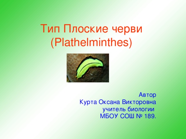 Тип Плоские черви (Plathelminthes) Автор Курта Оксана Викторовна учитель биологии МБОУ СОШ № 189.