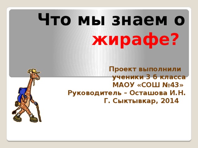 Что мы знаем о жирафе? Проект выполнили ученики 3 б класса МАОУ «СОШ №43» Руководитель – Осташова И.Н. Г. Сыктывкар, 2014