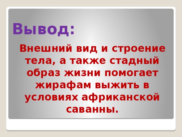 Вывод: Внешний вид и строение тела, а также стадный образ жизни помогает жирафам выжить в условиях африканской саванны.