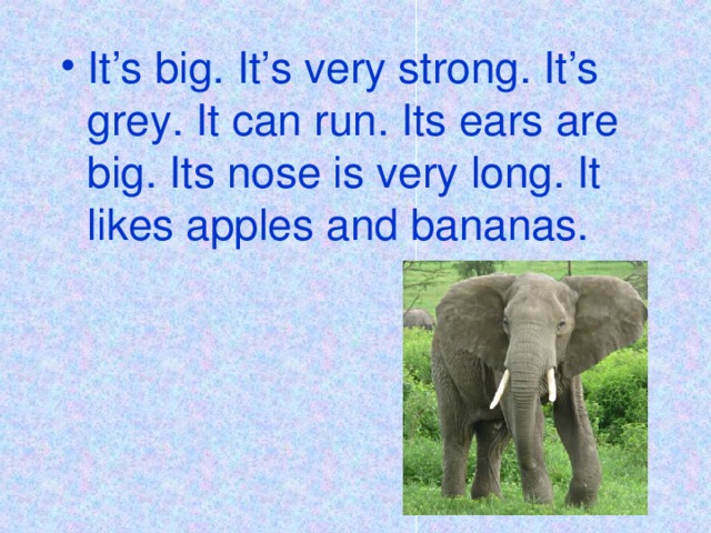 It’s big. It’s very strong. It’s grey. It can run. Its ears are big. Its nose is very long. It likes apples and bananas.