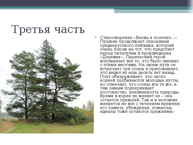 Стихотворение вновь я посетил. Стих вновь я посетил Пушкин. Вновь я посетил Пушкин стихотворение. Вновь я посетил Пушкин стихотворение текст. Стихотворение Пушкина вновь я.