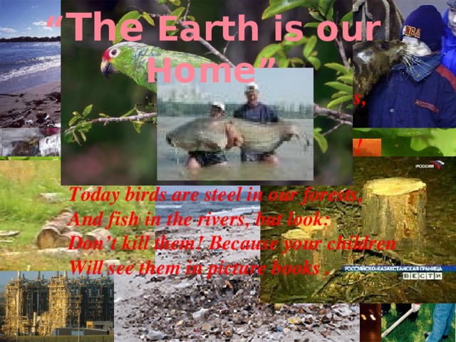 “ The Earth is our Home” Look at the litter on the streets, Look at the fish which dead in seas, Look at the pollution in the air, Look at the way we just don’t care!  Today birds are steel in our forests, And fish in the rivers, but look: Don’t kill them! Because your children Will see them in picture books .