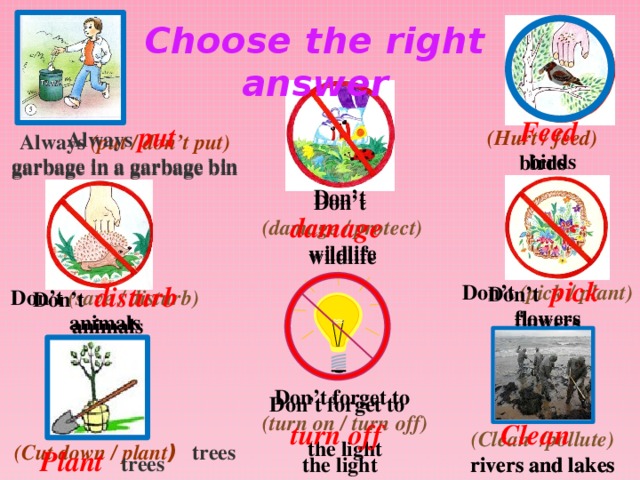 Choose the right answer Feed  birds Always put garbage in a garbage bin (Hurt / feed) birds Always (put / don’t put) garbage in a garbage bin Don’t damage  wildlife Don’t (damage / protect) wildlife Don’t pick flowers Don’t (pick / plant)  flowers Don’t disturb  animals Don’t (save / disturb) animals Don’t forget to (turn on / turn off)  the light Don’t forget to turn off  the light Clean rivers and lakes (Clean /pollute) rivers and lakes (Cut down / plant ) trees Plant   trees