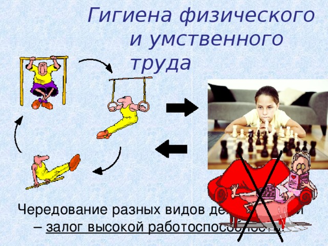 Гигиена физического  и умственного труда Чередование разных видов деятельности – залог высокой работоспособности .