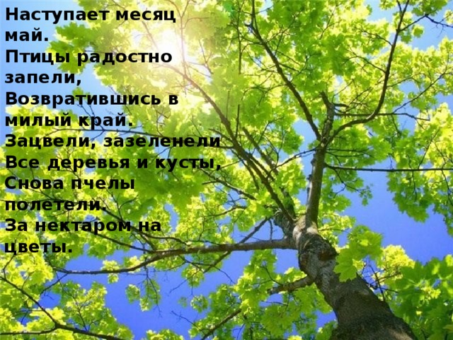 Наступает месяц май.  Птицы радостно запели,  Возвратившись в милый край.  Зацвели, зазеленели  Все деревья и кусты,  Снова пчелы полетели.  За нектаром на цветы.