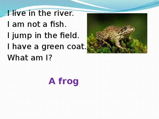 I live in the river. I am not a fish. I jump in the field. I have a green coat. What am I? A frog