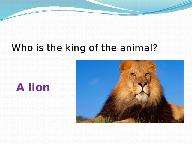 Who is the king of the animal? A lion