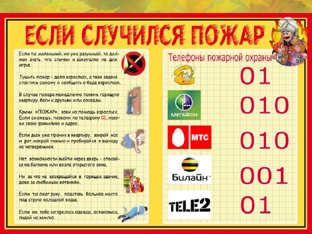 Техника безопасности на практике для студентов экологов