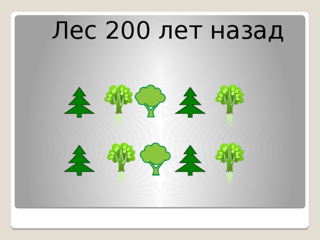 Лес 200 лет назад Вырубка лесов.