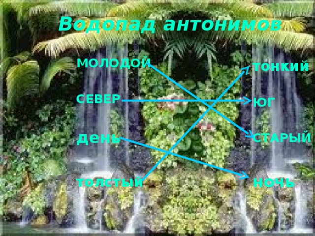 Водопад антонимов МОЛОДОЙ  СЕВЕР  день  толстый тонкий  ЮГ  СТАРЫЙ  ночь