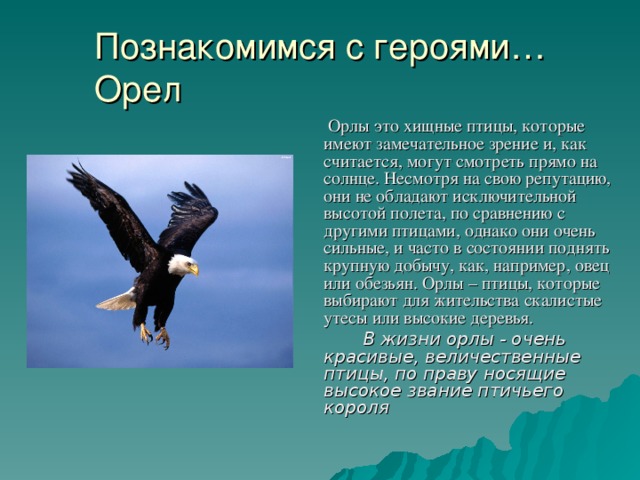 Познакомимся с героями…  Орел  Орлы это хищные птицы, которые имеют замечательное зрение и, как считается, могут смотреть прямо на солнце. Несмотря на свою репутацию, они не обладают исключительной высотой полета, по сравнению с другими птицами, однако они очень сильные, и часто в состоянии поднять крупную добычу, как, например, овец или обезьян. Орлы – птицы, которые выбирают для жительства скалистые утесы или высокие деревья.  В жизни орлы - очень красивые, величественные птицы, по праву носящие высокое звание птичьего короля