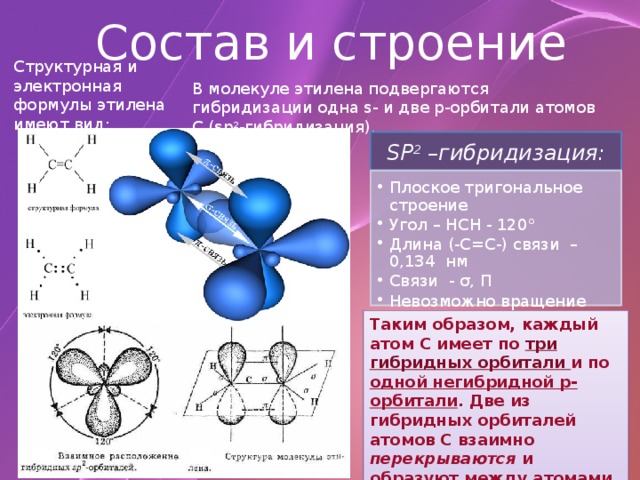 Состав и строение Структурная и электронная формулы этилена имеют вид: В молекуле этилена подвергаются гибридизации одна s- и две p-орбитали атомов C (sp 2 -гибридизация). SP 2 –гибридизация: Плоское тригональное строение Угол – HCH - 120° Длина (-С=С-) связи – 0,134 нм Связи - σ, П Невозможно вращение относительно (-С=С-) связи Плоское тригональное строение Угол – HCH - 120° Длина (-С=С-) связи – 0,134 нм Связи - σ, П Невозможно вращение относительно (-С=С-) связи Таким образом, каждый атом C имеет по три гибридных орбитали и по одной негибридной p-орбитали . Две из гибридных орбиталей атомов C взаимно перекрываются и образуют между атомами C