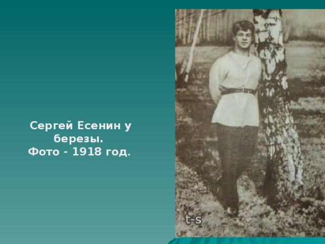 Сергей Есенин у березы. Фото - 1918 год .